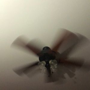 Meet your Posher, Camden